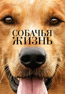 Собачья жизнь