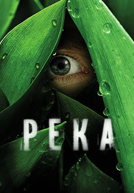 Постер к сериалу Река 2012