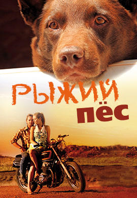 Постер к фильму Рыжий пёс 2011