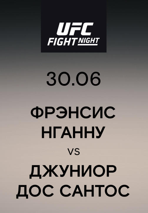 Фрэнсис Нганну vs Джуниор Дос Сантос