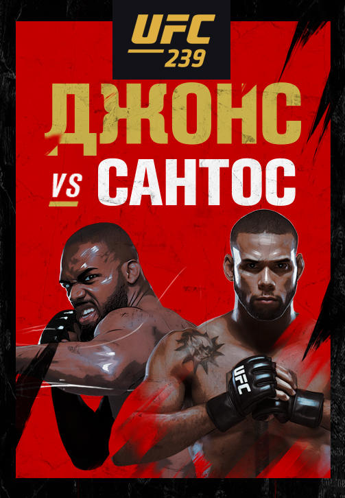 UFC 239