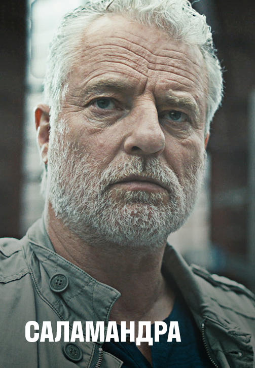 Постер к сериалу Саламандра 2012